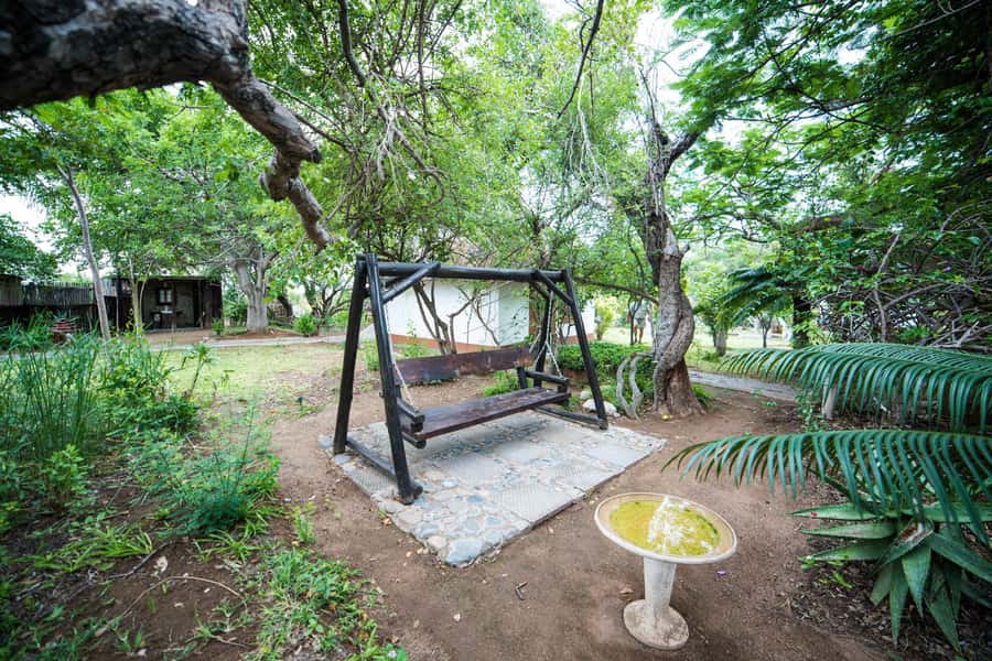 Johannesburg: 4-Day Classic Kruger National Park Safari - Should you book this 4-day classic Kruger safari?