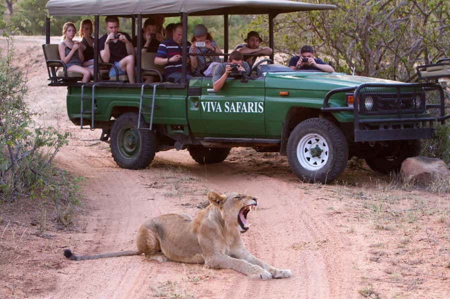 Johannesburg: 4-Day Classic Kruger National Park Safari - Day Two bush walk with armed rangers and the Tremisana hide