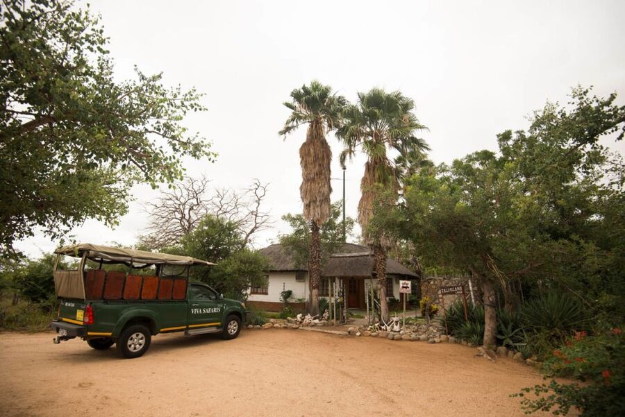 Johannesburg: 5-Day Classic Kruger National Park Safari - What’s included, what’s not, and how to plan your budget