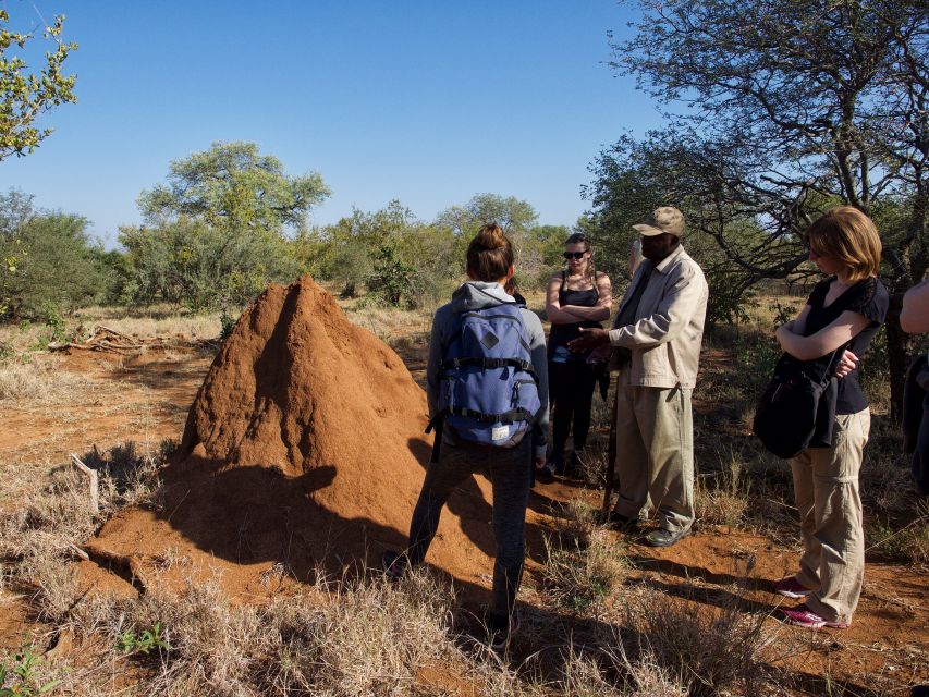 Johannesburg: 5-Day Classic Kruger National Park Safari - Sunset drive and night drive, spotlighting after dark