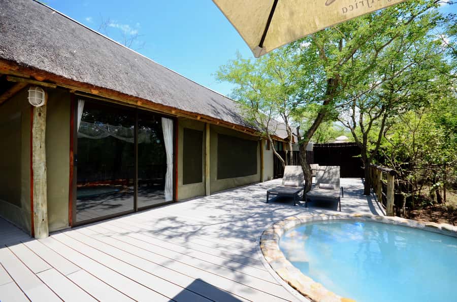 Johannesburg: 6-Day Luxury Kruger National Park Safari - Moholoholo Rehabilitation Centre: Conservation You Can See in Person