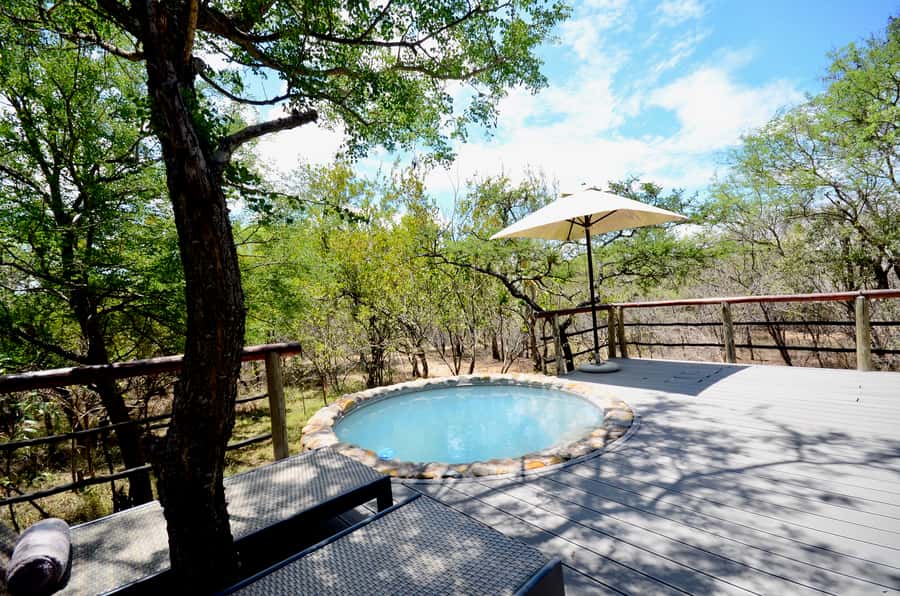 Johannesburg: 6-Day Luxury Kruger National Park Safari - Price and Value for a 6-Day Luxury Kruger Safari