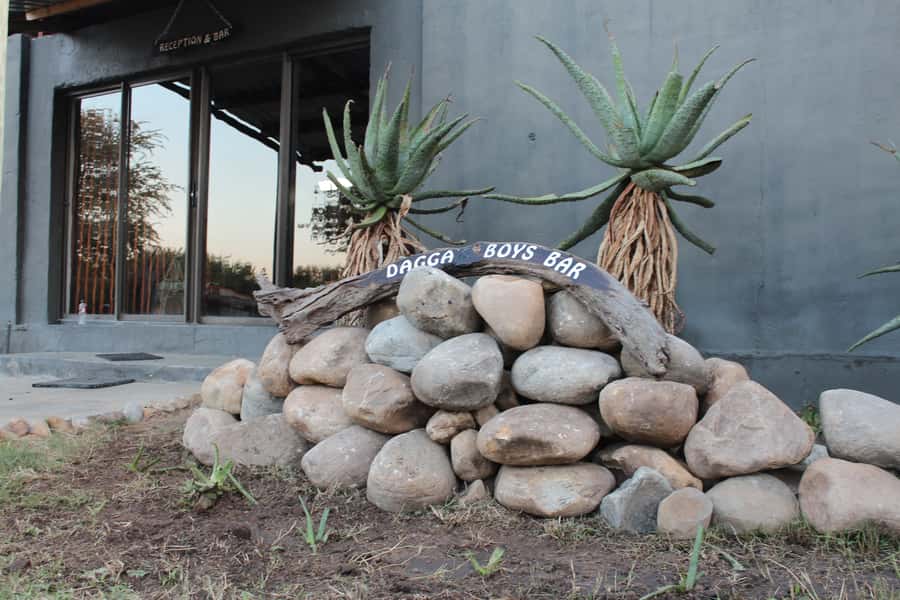 Johannesburg: Affordable 3 Day Kruger Park Safari - Sightings reality check: why 3 days can feel perfect or frustrating