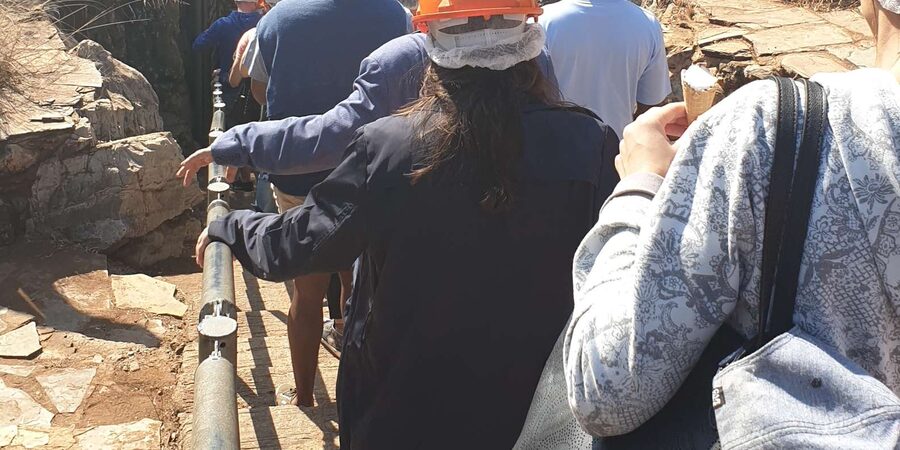 Johannesburg: Cradle of Human Kind & Lesedi Cultural Village - Fossils, museum time, and asking the right questions