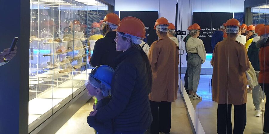 Johannesburg: Cradle of Human Kind & Lesedi Cultural Village - Who this tour fits best