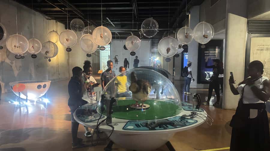 Johannesburg: Cradle of Humankind & Harties Aerial Cableway - The interactive climate simulation: why it matters for understanding evolution