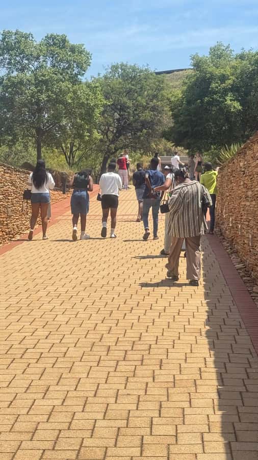 Johannesburg: Cradle of Humankind & Harties Aerial Cableway - Lunch planning at Cradle and the restaurant option later