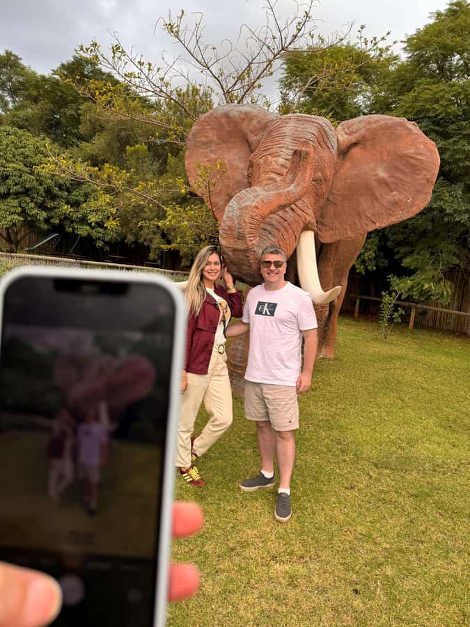 Johannesburg: Elephant and Monkey Sanctuary Half Day Tour - FAQ