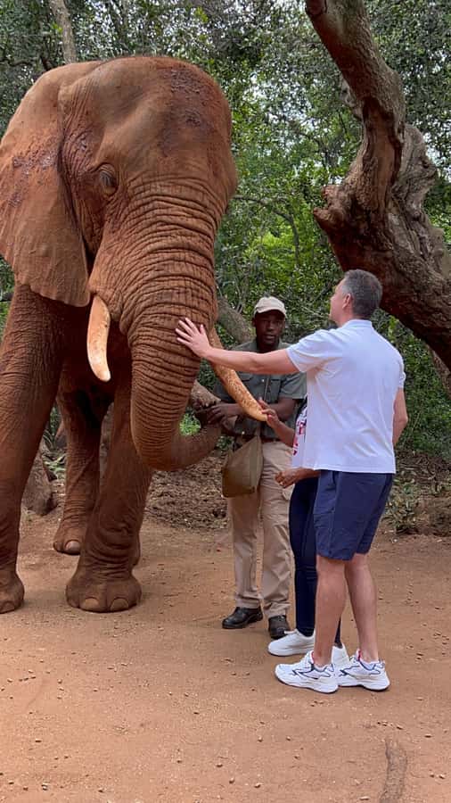 Johannesburg: Elephant and Monkey Sanctuary Half Day Tour - From Sandton City to Hartbeespoort: the ride and timing