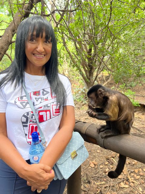 Johannesburg: Elephant and Monkey Sanctuary Half Day Tour - How the short half day stays organized without feeling rushed