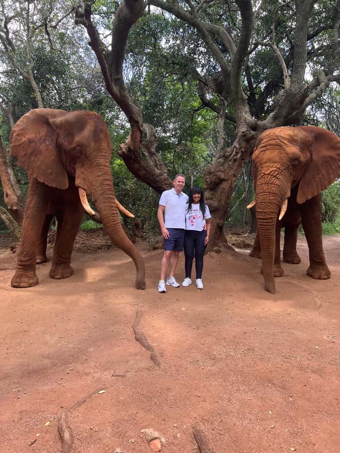 Johannesburg: Elephant and Monkey Sanctuary Half Day Tour - What to bring, and how to stay relaxed during monkey feeding