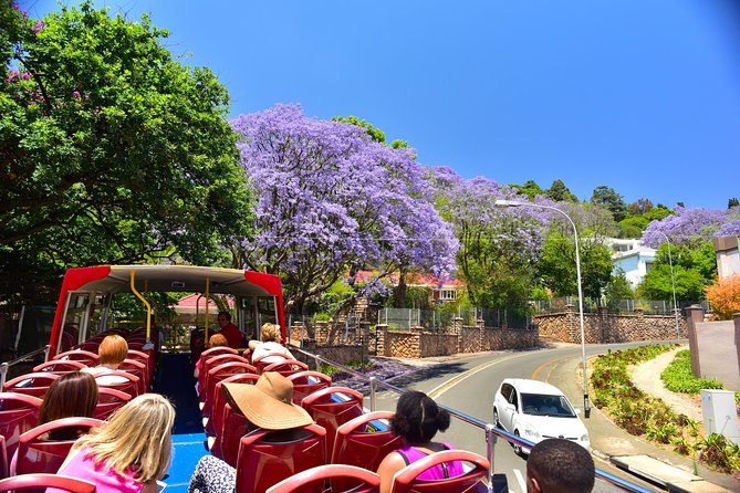 Johannesburg Hop-On Hop-Off City Tour with Soweto Option - Should you book it?