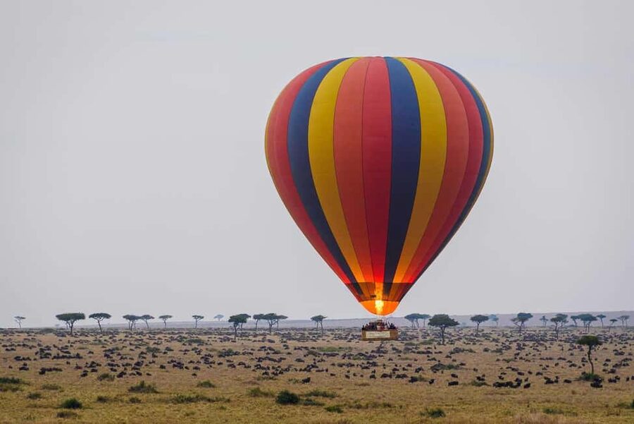 Johannesburg: Hot Air Balloon Flight - Johannesburg: Magaliesberg balloon basics you can plan around
