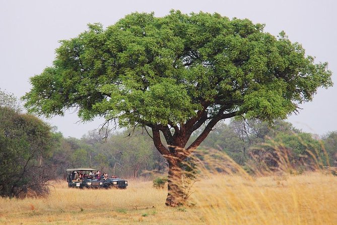 Johannesburg Like a Local: Customized Private Tour - How the custom route works, and how to ask for what you want