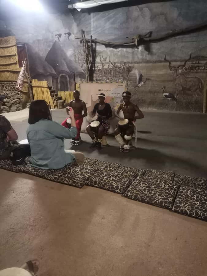 Johannesburg: Lion Park Safari and Cultural Village Tour - Price and value: is $219 per person a fair deal?