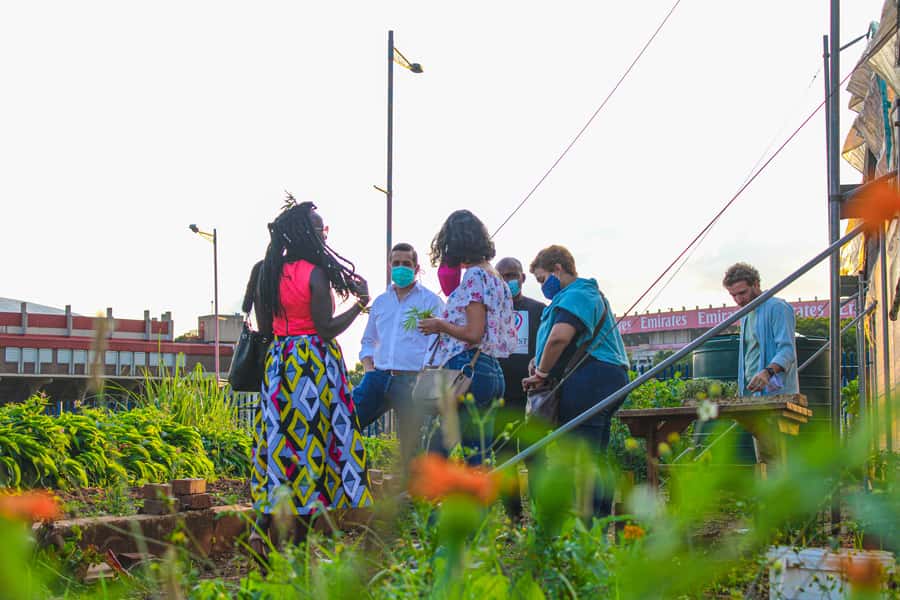 Johannesburg: Pan-African Cooking & Dinning Experience - Dining and storytelling: the table part you’ll remember