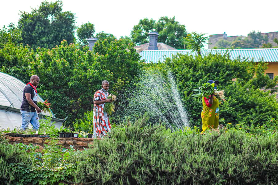 Johannesburg: Pan-African Cooking & Dinning Experience - What you really get for $102 per person