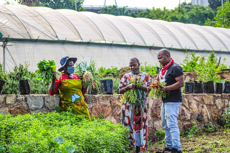 Johannesburg: Pan-African Cooking & Dinning Experience - Who should book this Johannesburg cooking night