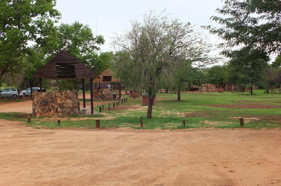 Johannesburg: Rhino and Lion Nature Reserve Safari - Price and value: what $121 buys you in Johannesburg