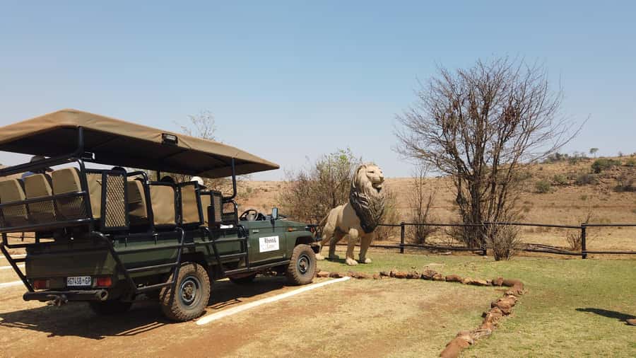 Johannesburg: Rhino and Lion Nature Reserve Safari - FAQ