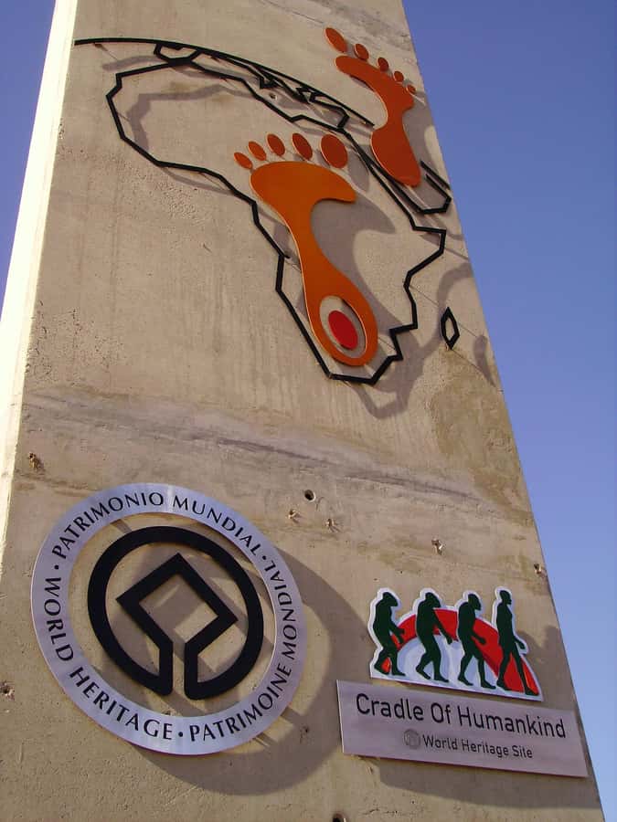 Johannesburg: Soweto, Apartheid Museum, and Cradle tours - Key highlights worth planning around
