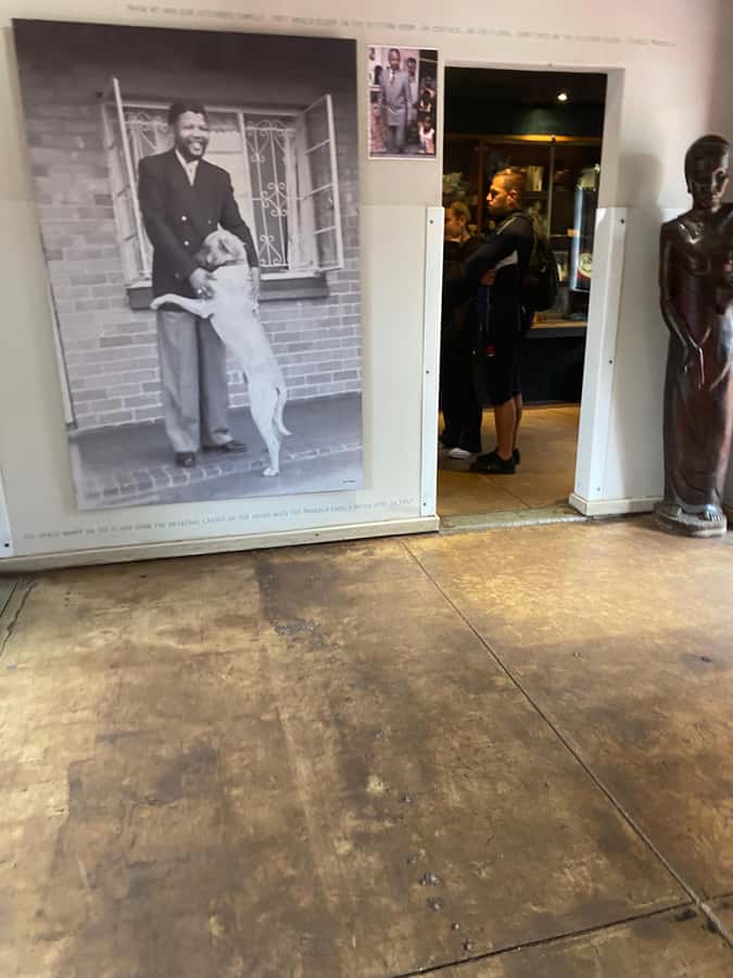 Johannesburg: Soweto & Apartheid Museum Half-Day Tour - Pickup, timing, and how 330 minutes play out