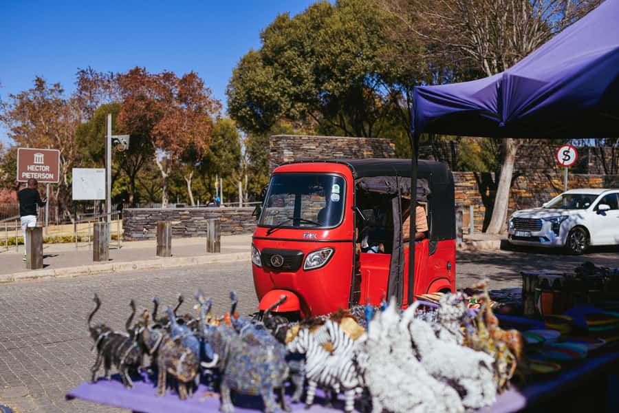 Johannesburg: Soweto Tour by Tuk Tuk - Key things to notice before you go