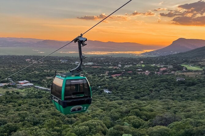 Johannesburg: Wine Tasting and Cableway Half Day Tour - Who should book this half-day and who should rethink it