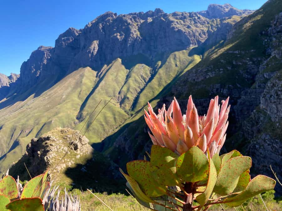 Jonkershoek Nature Reserve: Guided Panorama Trail Hike - Meeting at the gate, then driving in for the right start