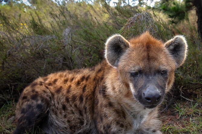 Jukani Wildlife Sanctuary Admission with Guided Tour - Jukani Wildlife Sanctuary, where the walk starts and ends