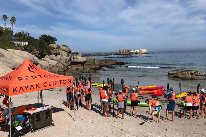 Kayak Adventure at Clifton Beach - Key highlights you should know before you go