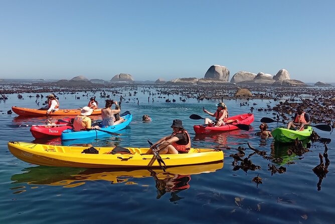 Kayak Adventure at Clifton Beach - Returning to Clifton 4th: the finish where you get to feel in control