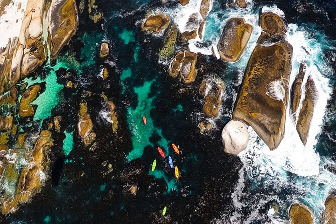 Kayak Adventure at Clifton Beach - Price and value: about $28.86 for a guided 90-minute coast experience