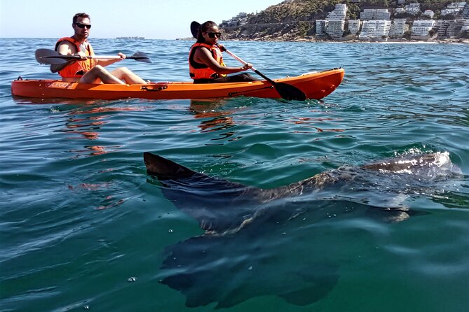 Kayak Adventure at Clifton Beach - What to wear and bring when the sea feels cold
