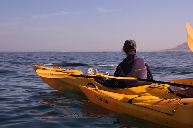 Kayak Chapman's Peak and Karbonkelberg in Hout Bay - The Chapmans Peak cliffs paddle: what you do with all that scenery