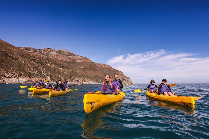 Kayak Chapman's Peak and Karbonkelberg in Hout Bay - What it feels like in real terms: group size and guide attention