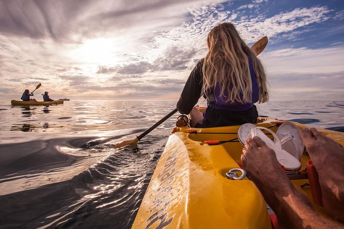 Kayak to the penguins in Simons Town - What happens on shore first, then why you feel safer on the water