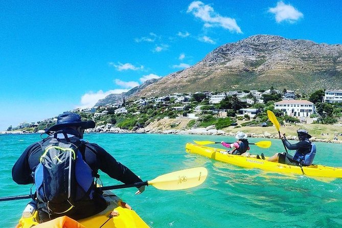 Kayak to the penguins in Simons Town - Who this tour fits best, and who should think twice