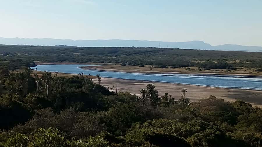 Kayaking Jeffreys Bay - Wildlife spotting in a lagoon setting (flamingos are possible)