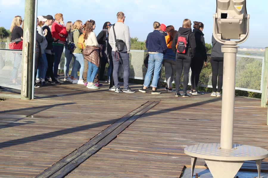 Khayelitsha: 3-Hour Township Walking Tour - Getting around: bicycles, taxis, and pacing for a full half day