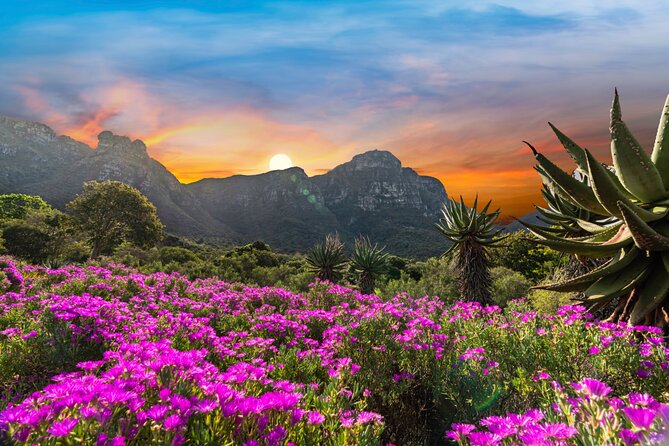 Kirstenbosch Botanical Gardens and Constantia Wine Tasting Tour. - The optional AFROGEM diamond-cutting stop