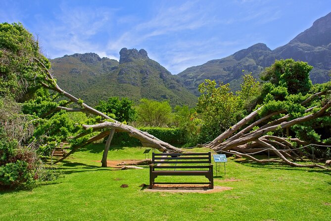 Kirstenbosch Garden, Bo-Kaap-Penguins & Cape of Good Hope Tour - Bo-Kaap: Colorful Houses, Spice Stops, and Real Local Flavors