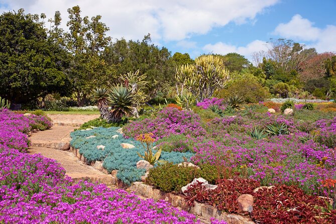 Kirstenbosch Garden, Bo-Kaap-Penguins & Cape of Good Hope Tour - St James Beach Cabanas and the Muizenberg Coast