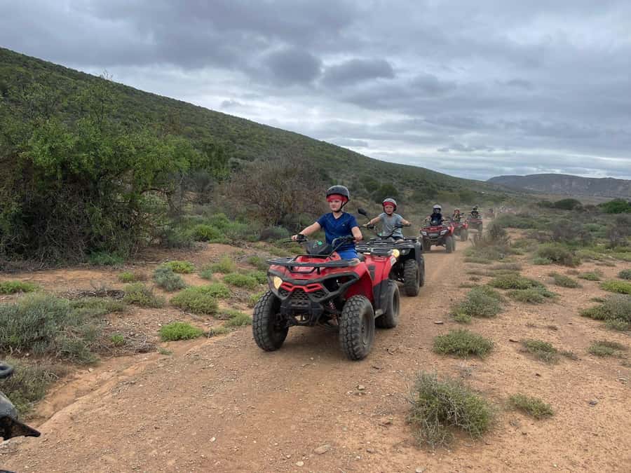 KLEIN KAROO at Oudtshoorn QUAD BIKE FUN RIDE - The 45-minute technical bush ride: obstacles, trees, and real turns