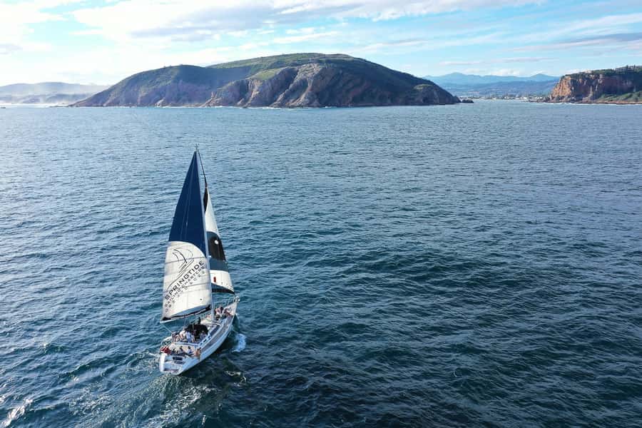 Knysna: 1.5-Hour Sailing Experience - Price and value: is $95 for 90 minutes a fair deal?