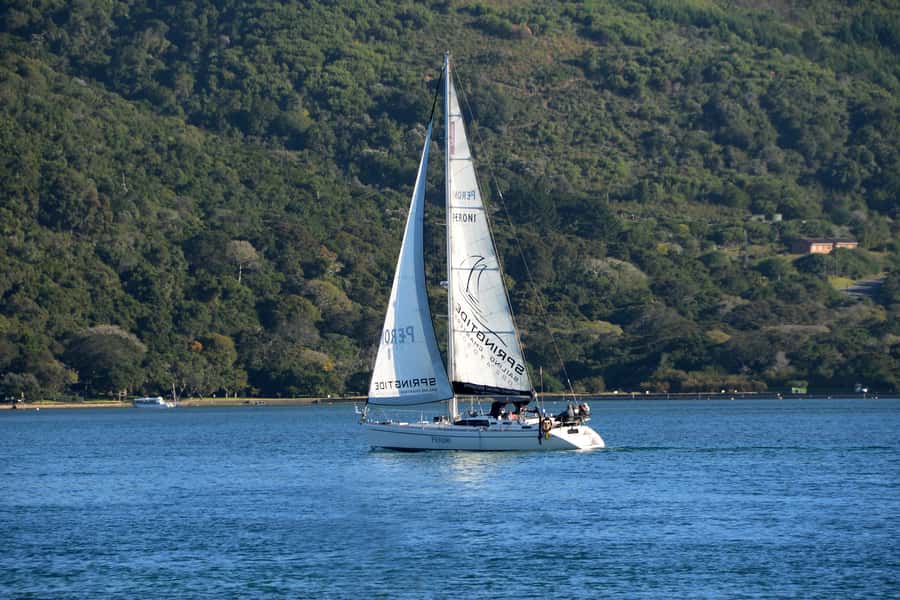 Knysna: 2.5-Hour Day Sail & Lunch Charter - Hands-On Sailing on a 50-Foot Mono-Hull