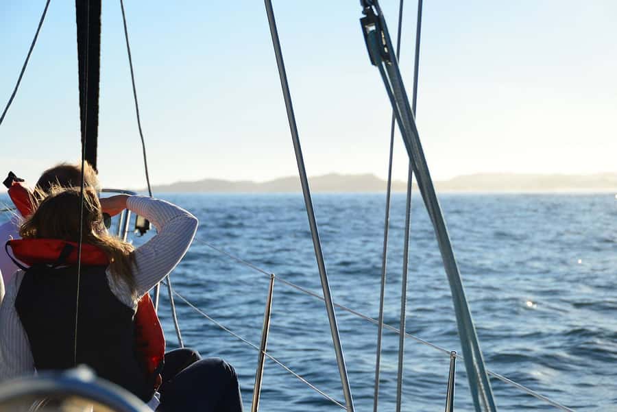 Knysna: 2.5-Hour Day Sail & Lunch Charter - Lunch on Deck: Cheese, Fruit, and a Cash Bar