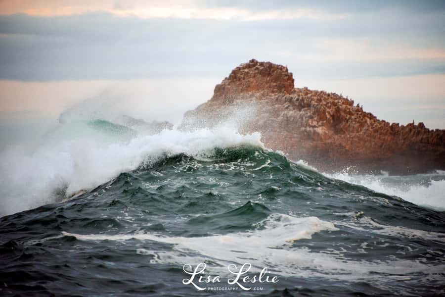 Knysna: 2.5-Hour Day Sail & Lunch Charter - What If Weather Changes the Plan?