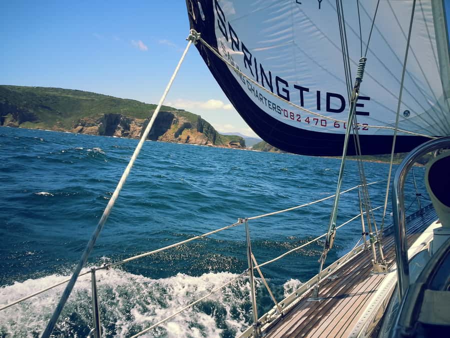 Knysna: 2.5-Hour Day Sail & Lunch Charter - Who This Charter Fits Best