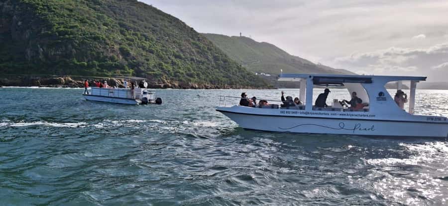 Knysna: 75-Minute Lagoon Boat Cruise - From Thesen Island to the Knysna Heads: how the timing works